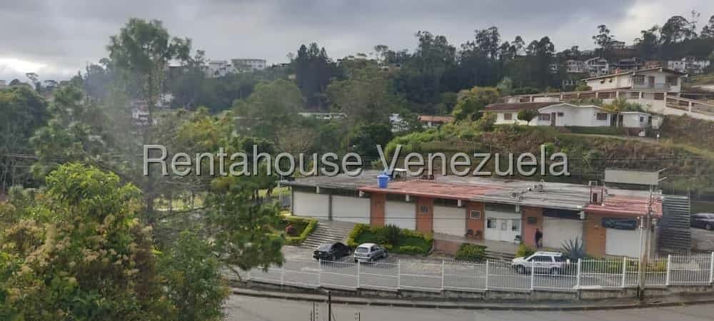 View 37