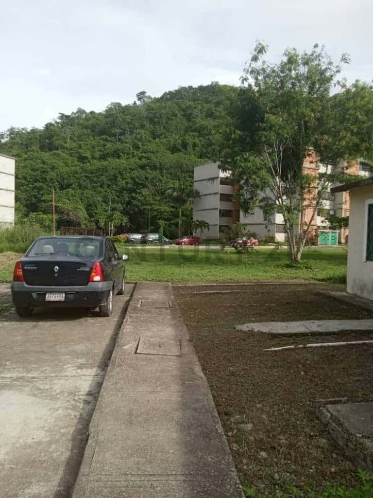 View 11