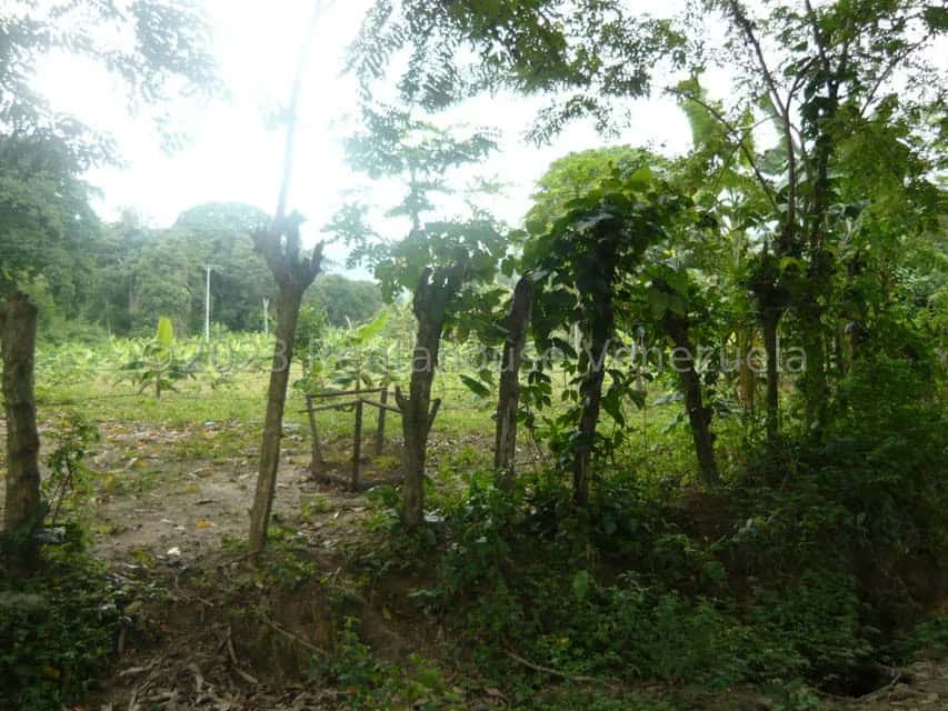 View 7