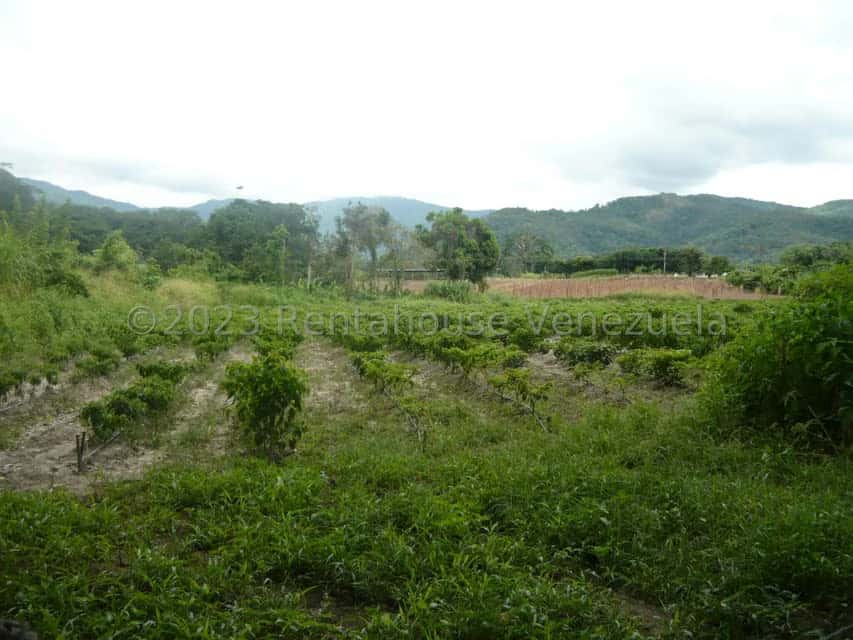 View 8
