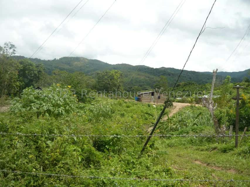View 10