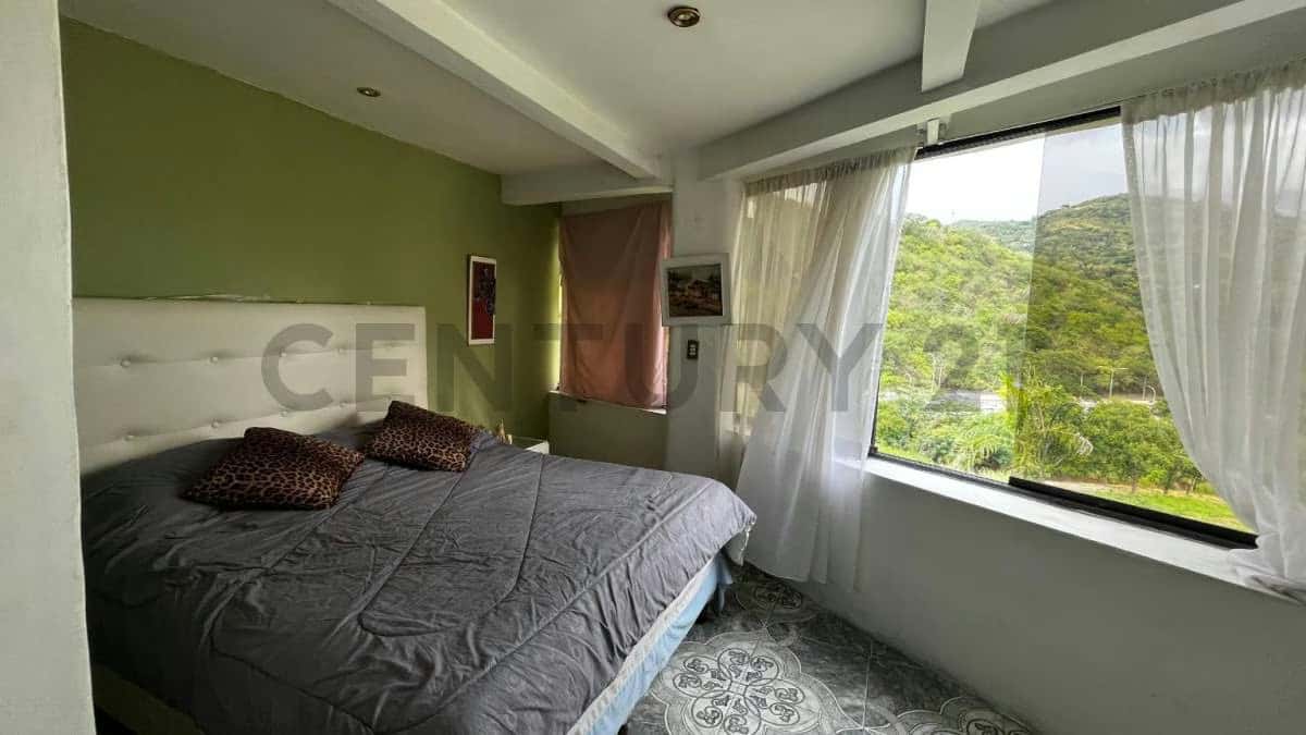 View 6