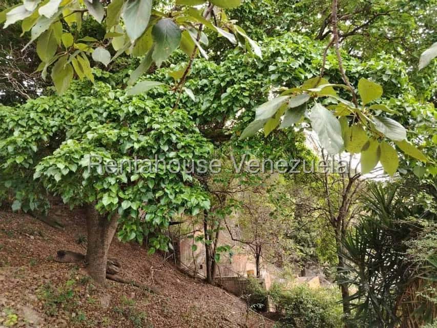 View 16
