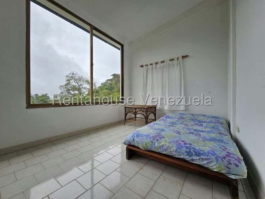 Vista 24