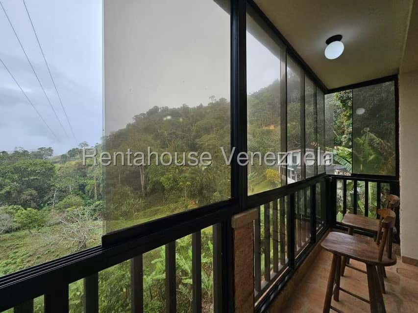 Vista 37