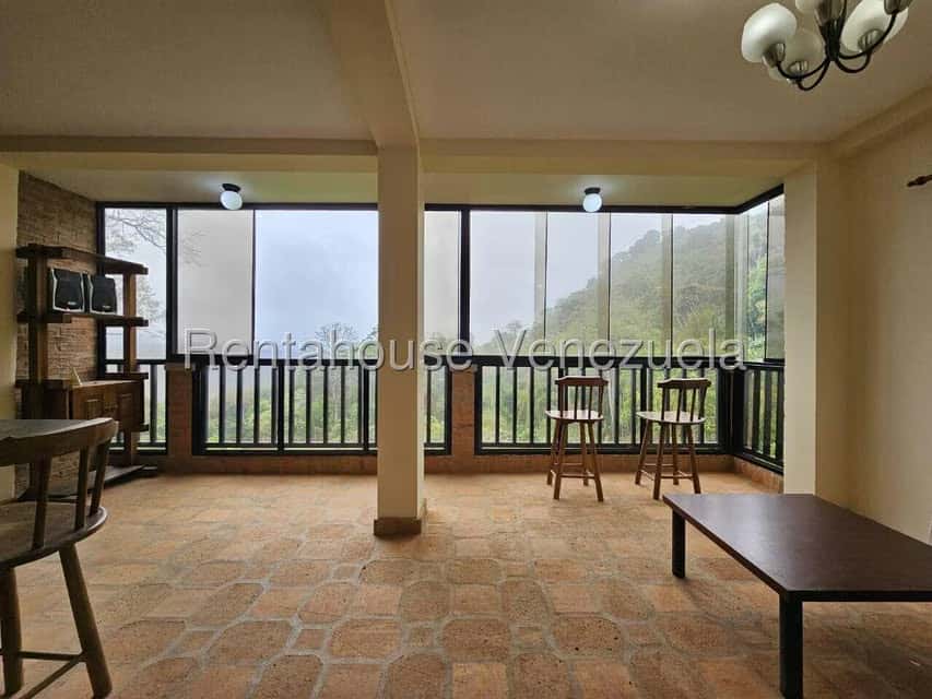 Vista 41