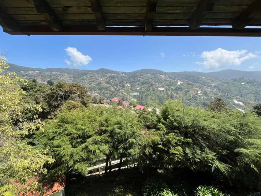 View 22