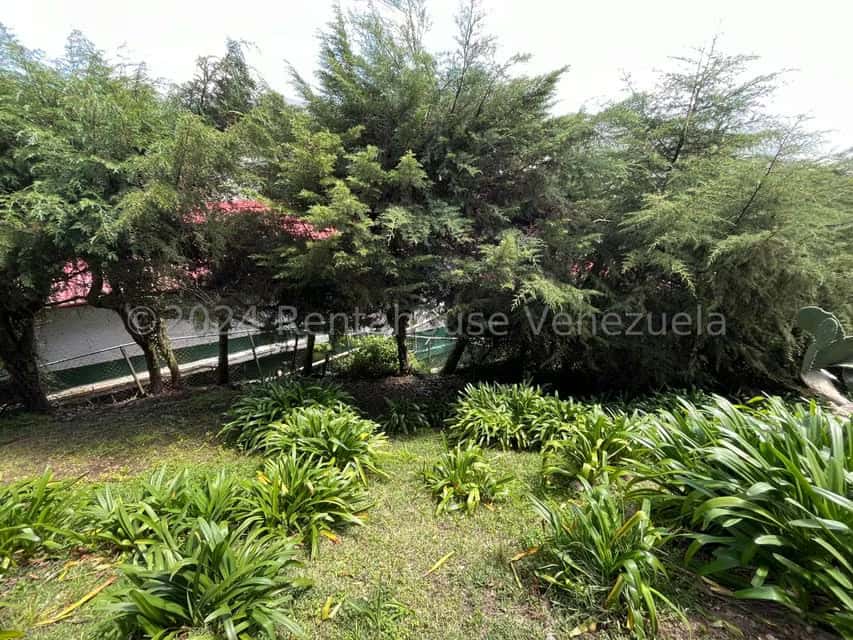 View 32
