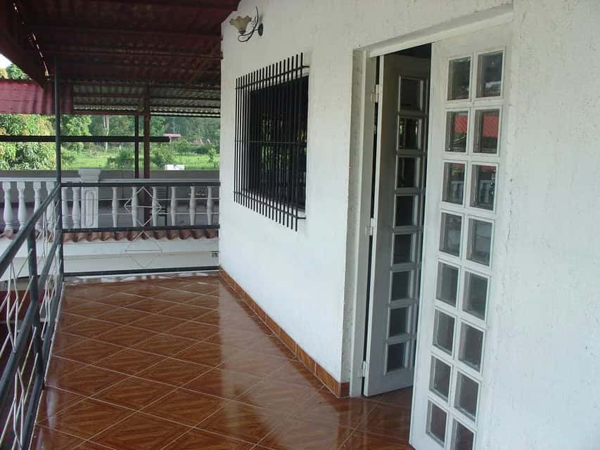 Vista 19