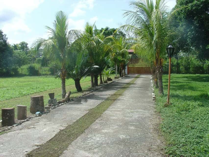 Vista 35