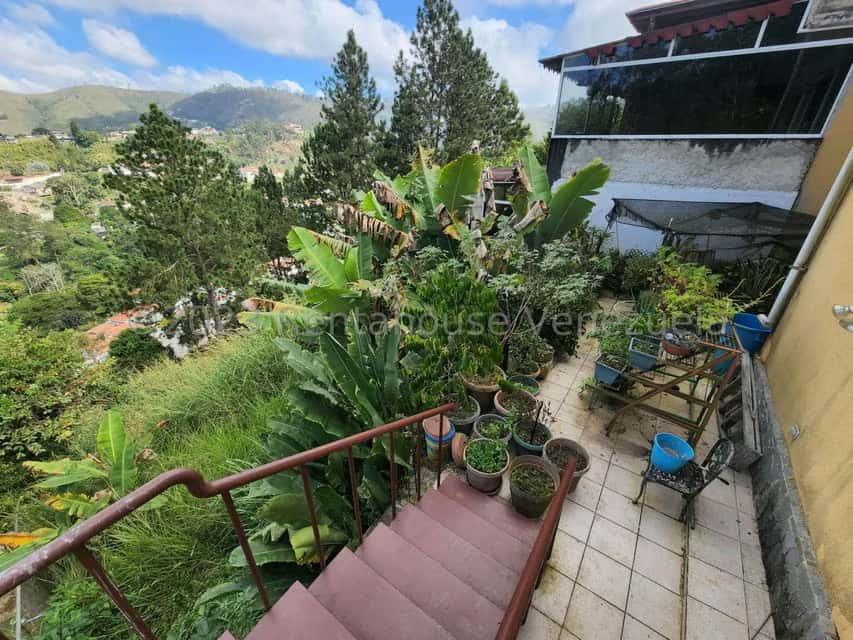View 23