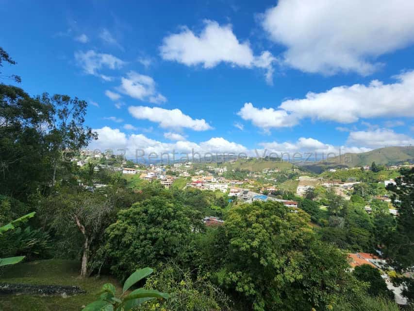 View 24