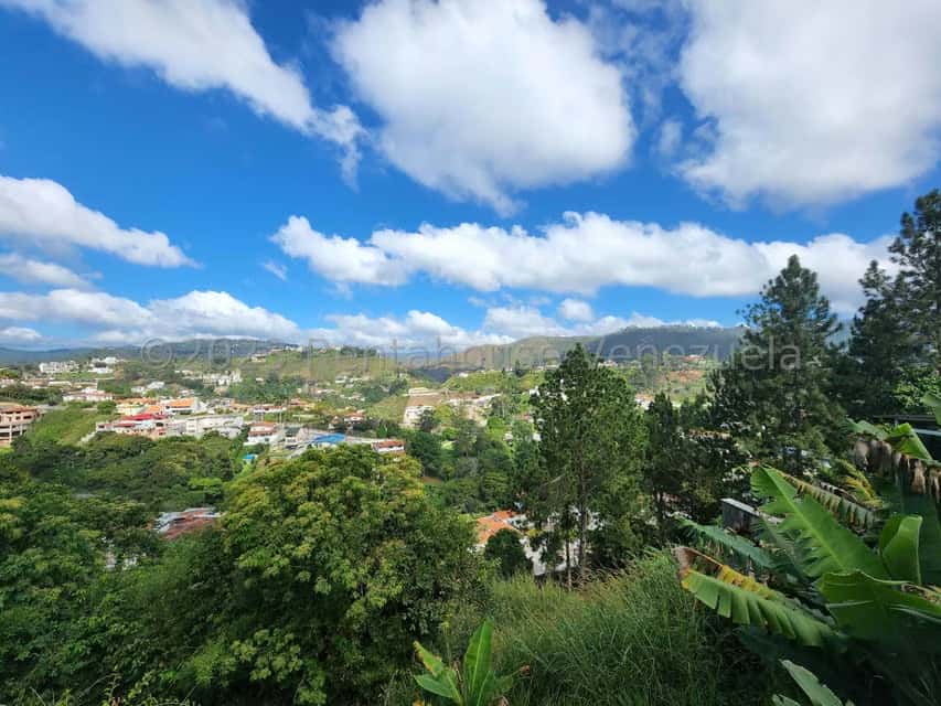 View 25