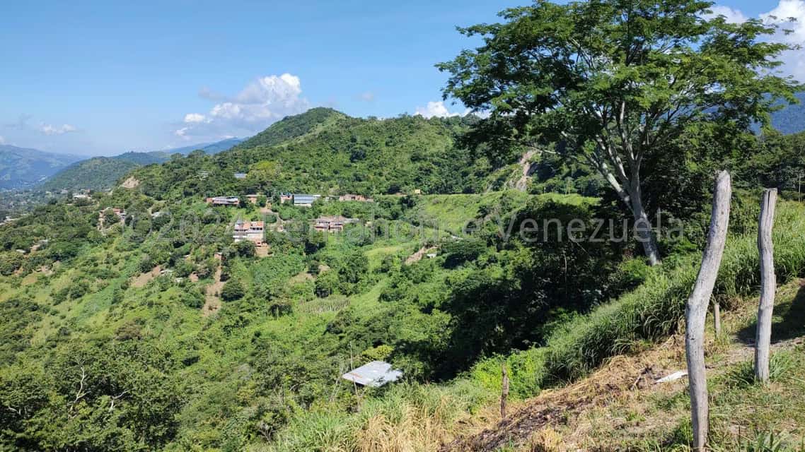 View 37