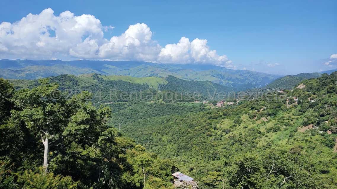 View 38