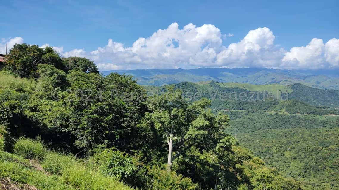 View 39