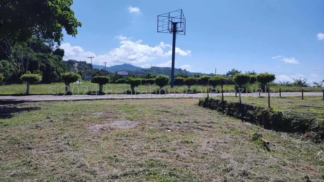 View 42