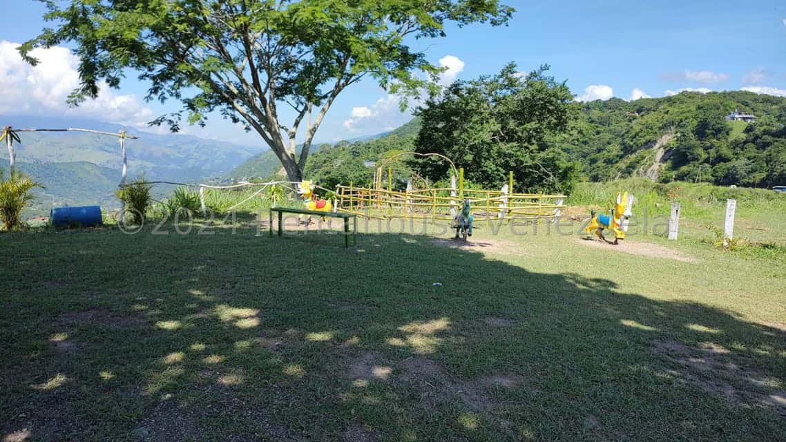View 43