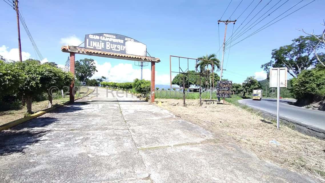 View 53