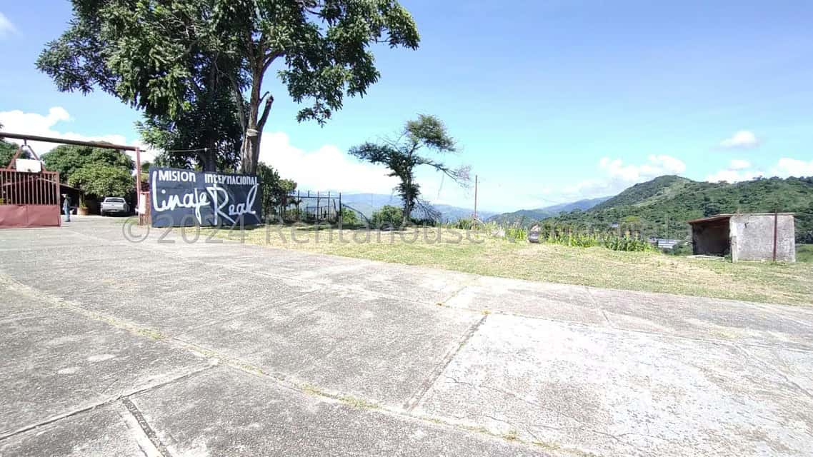 View 55