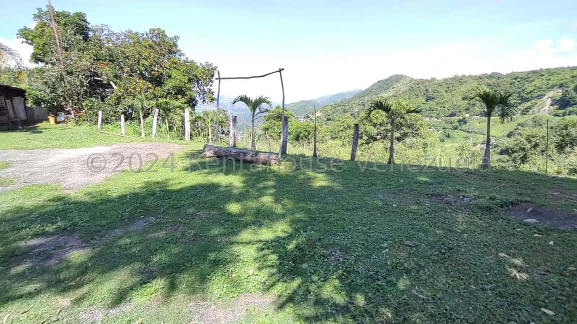View 63