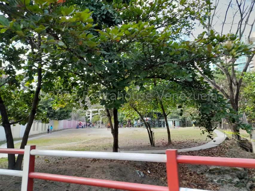 View 31