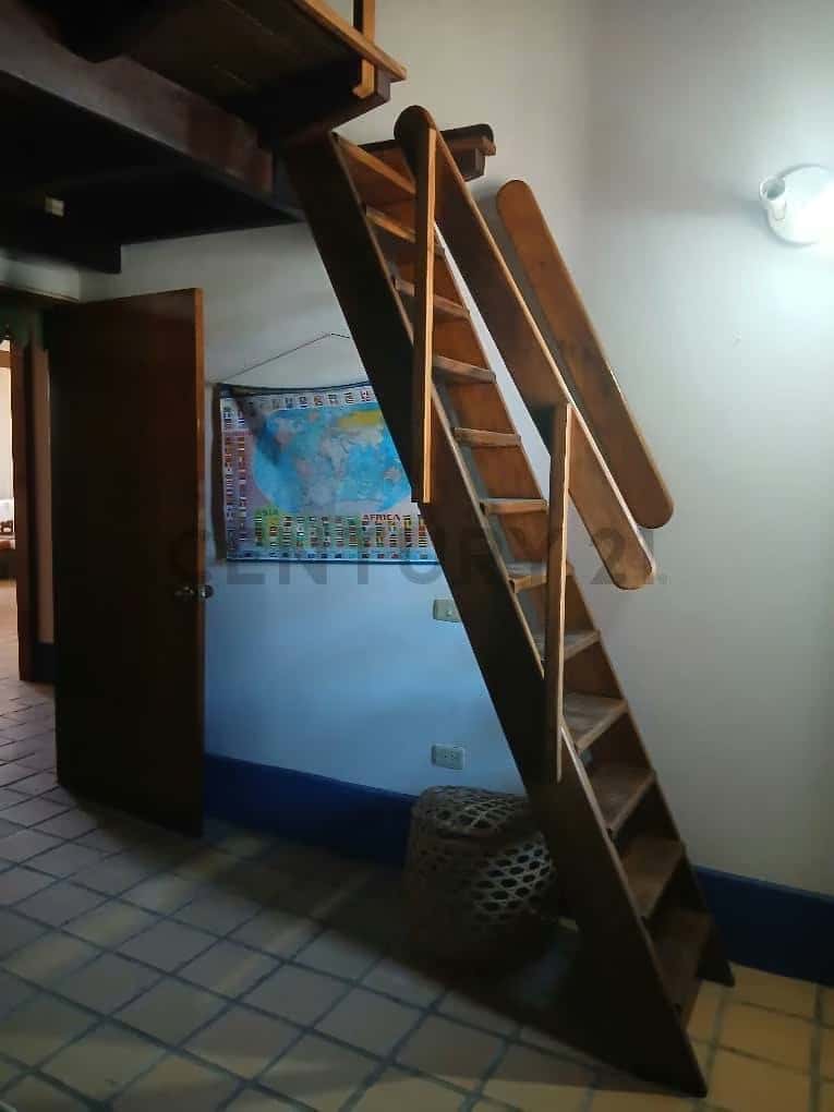 View 19