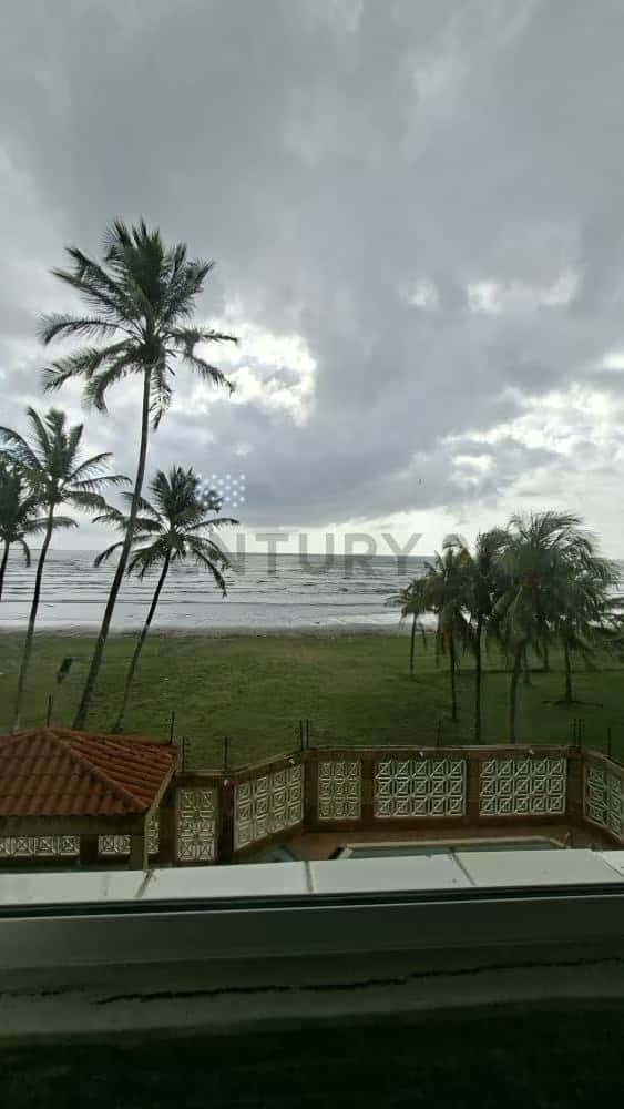 View 19