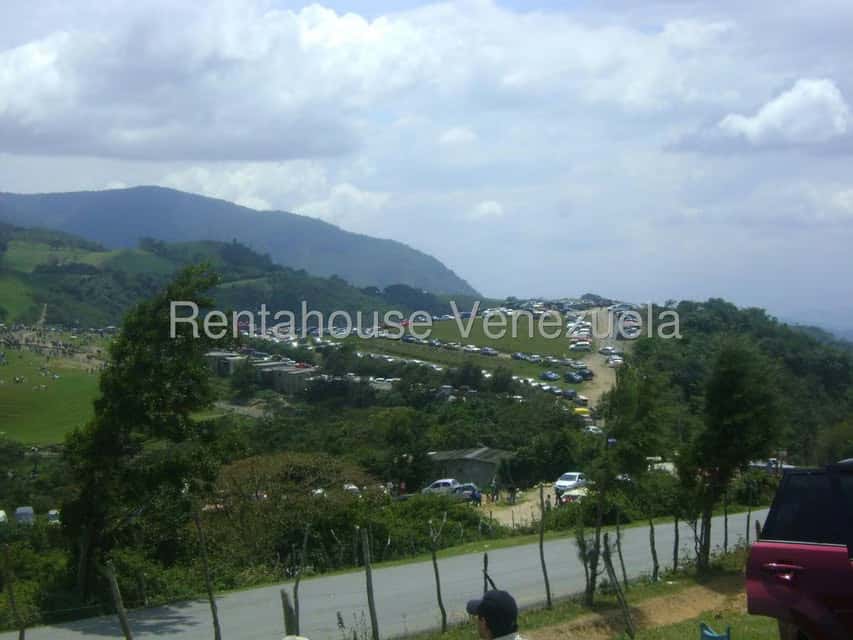 Vista 11