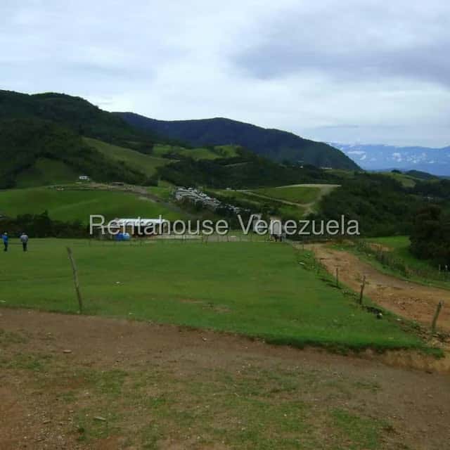 Vista 12