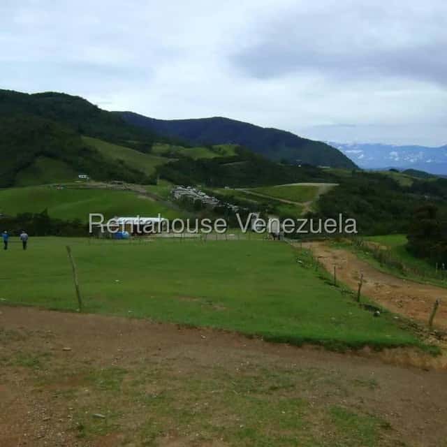 Vista 3