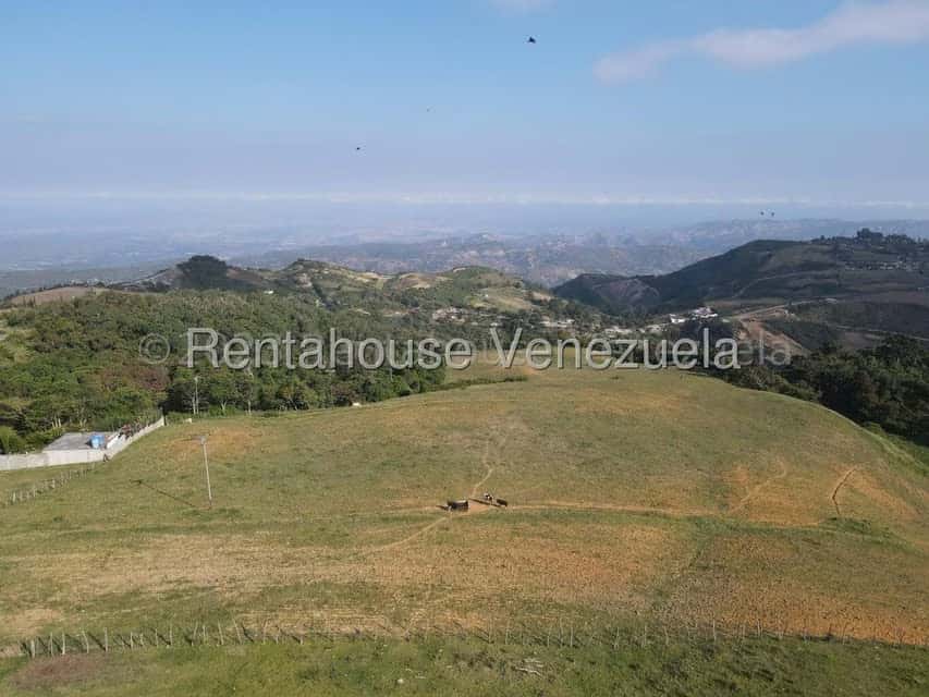 Vista 9