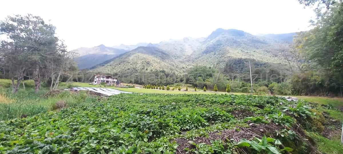 View 2