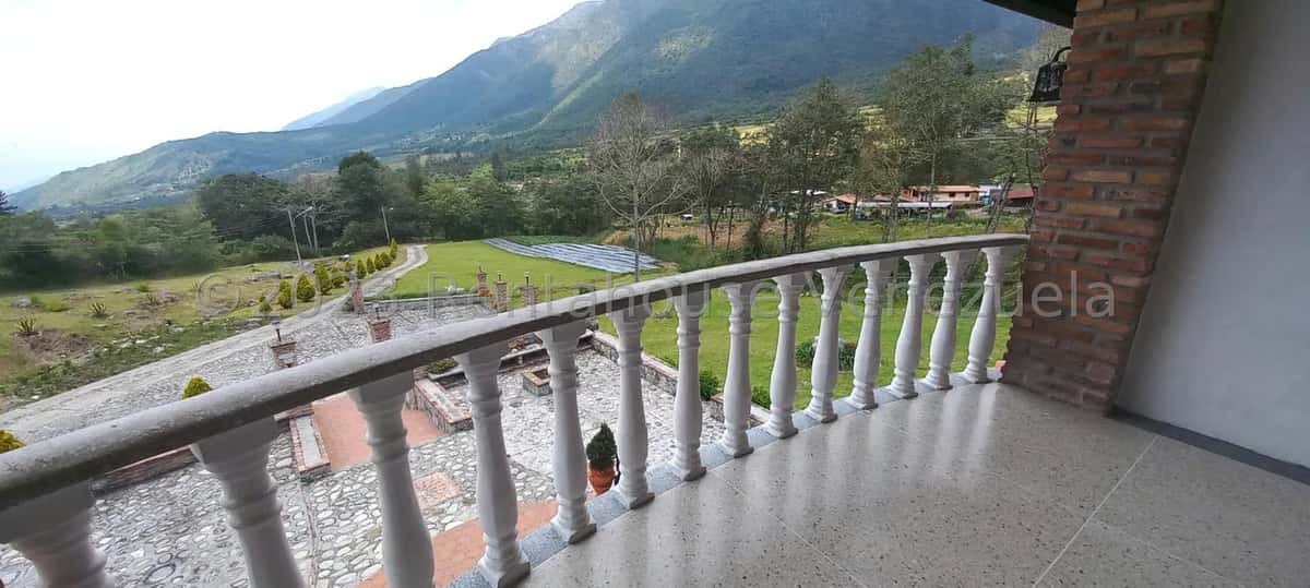 View 68