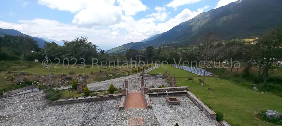 View 69