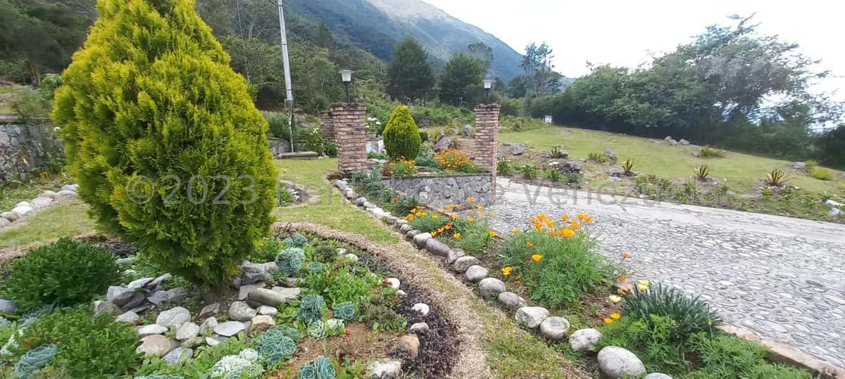View 89