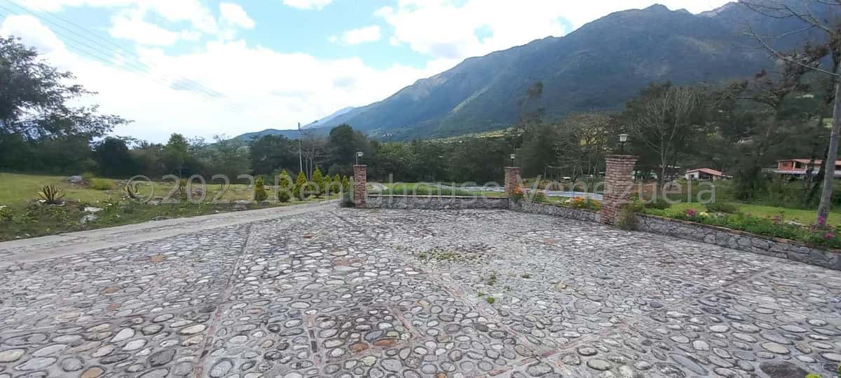 View 91