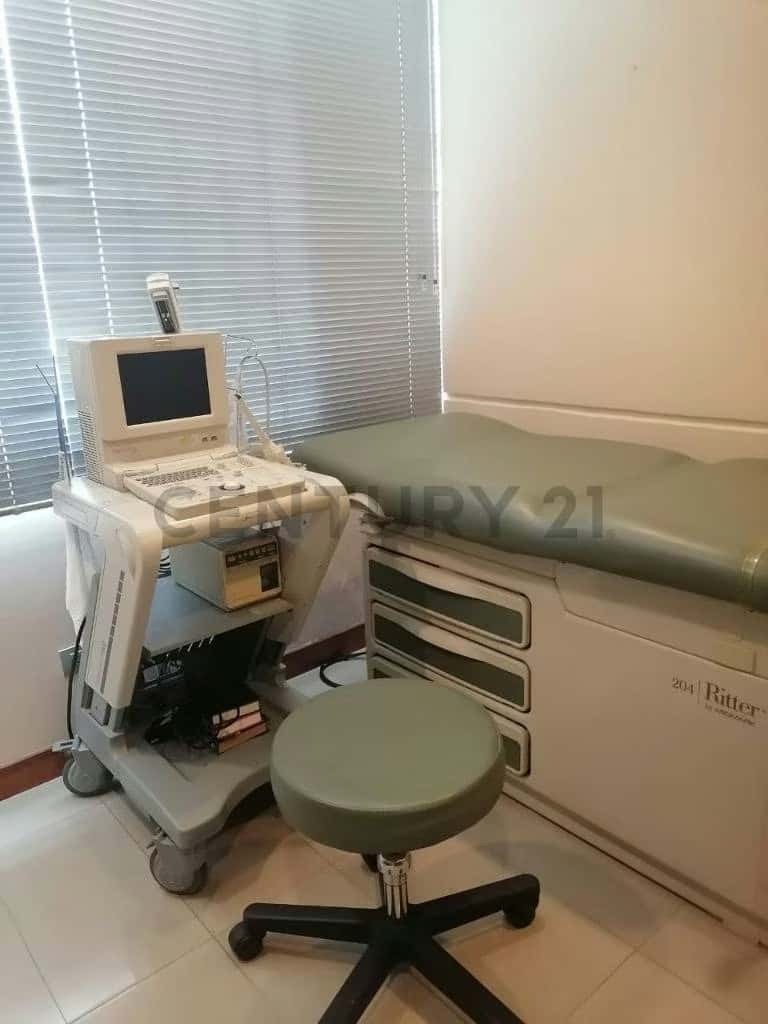 Vista 18