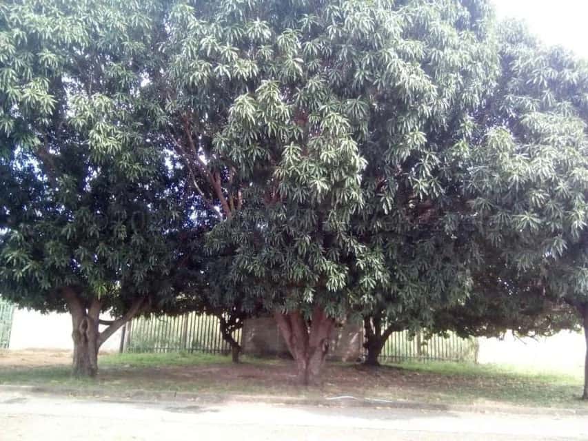 View 27