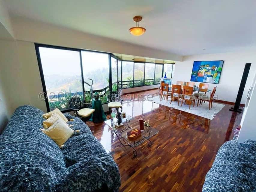 Vista 11