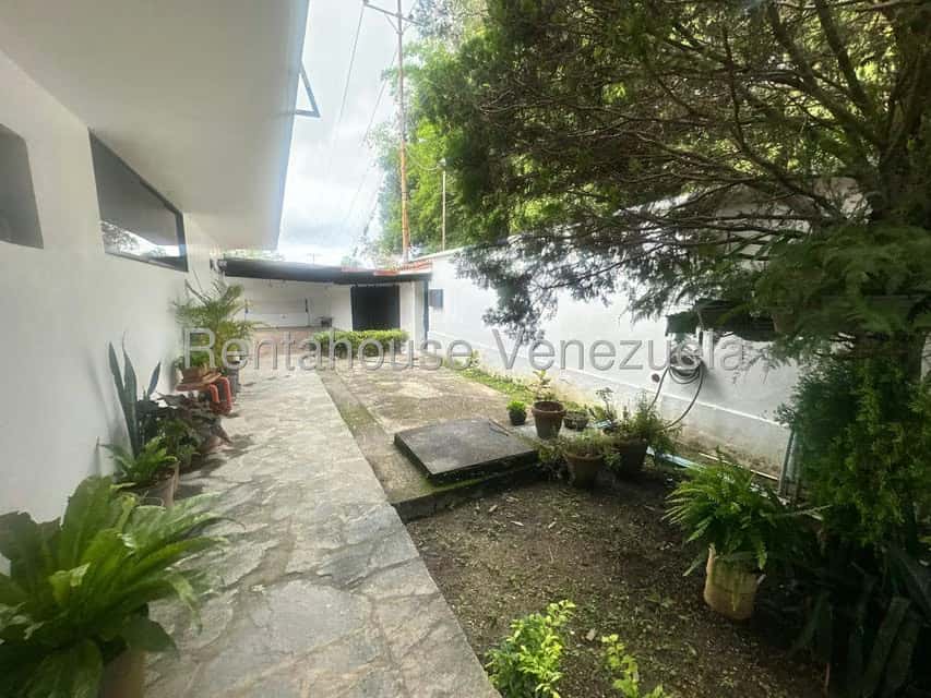 Vista 33