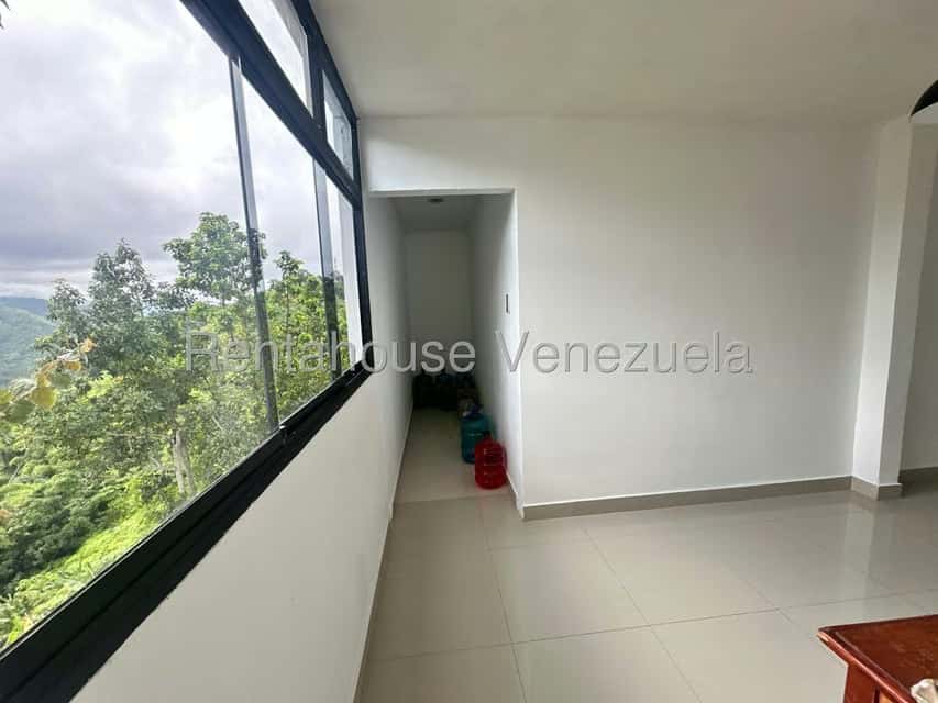 Vista 44
