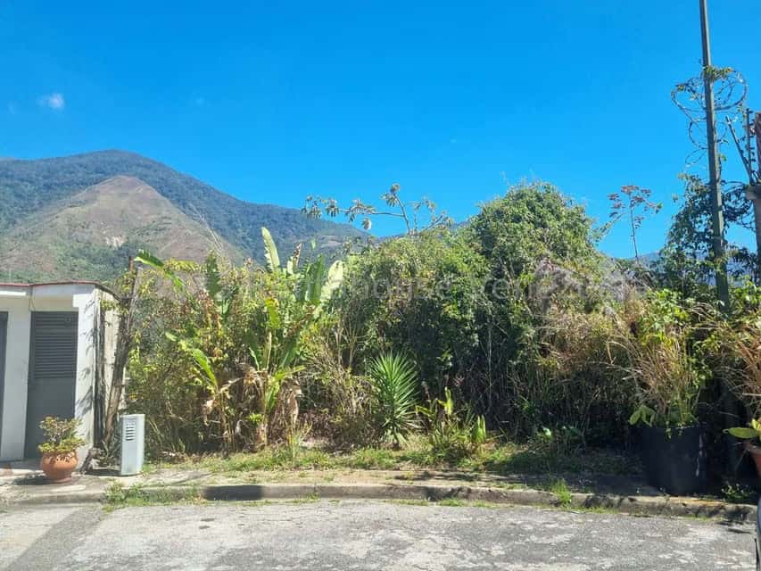 Vista 1