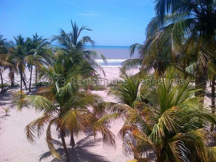 View 24