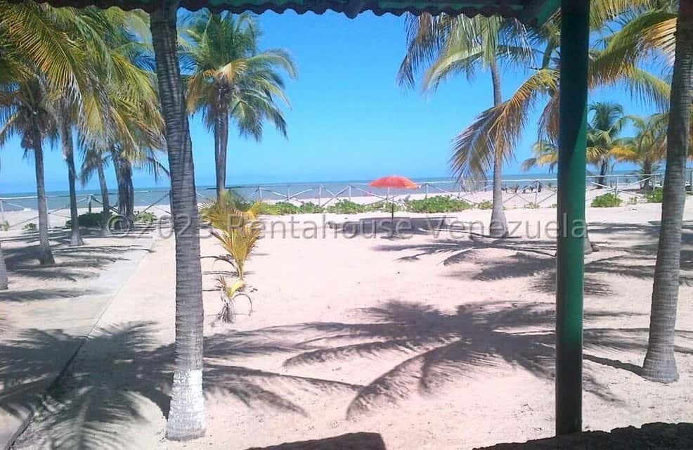 View 25