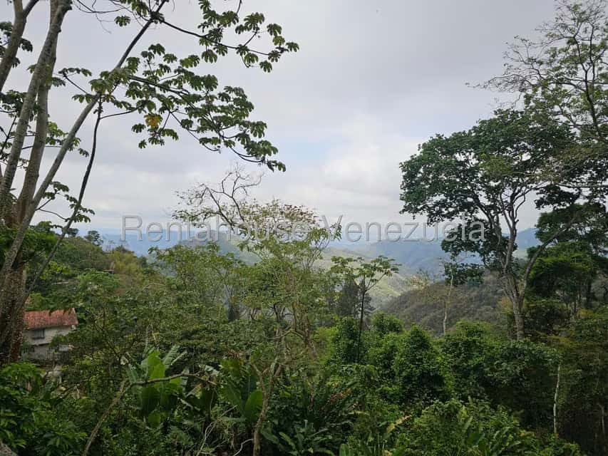 Vista 32
