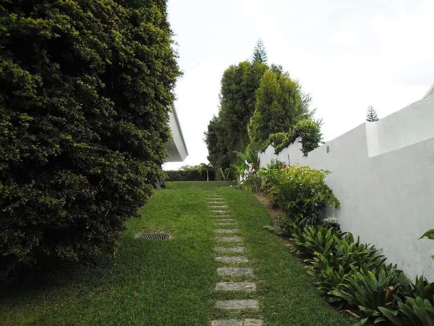 View 92
