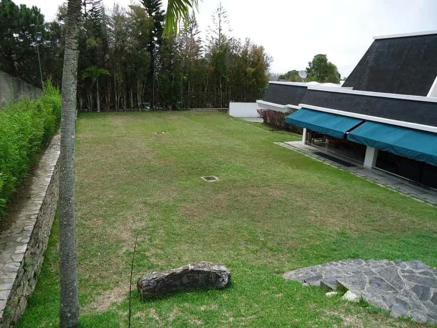 View 95
