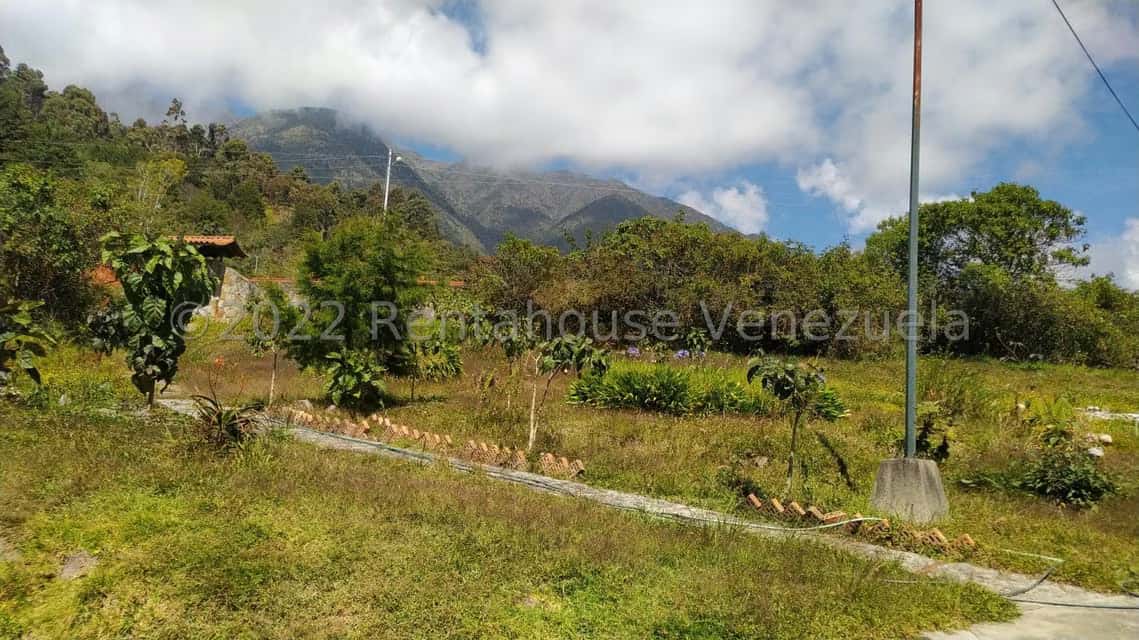 Vista 13