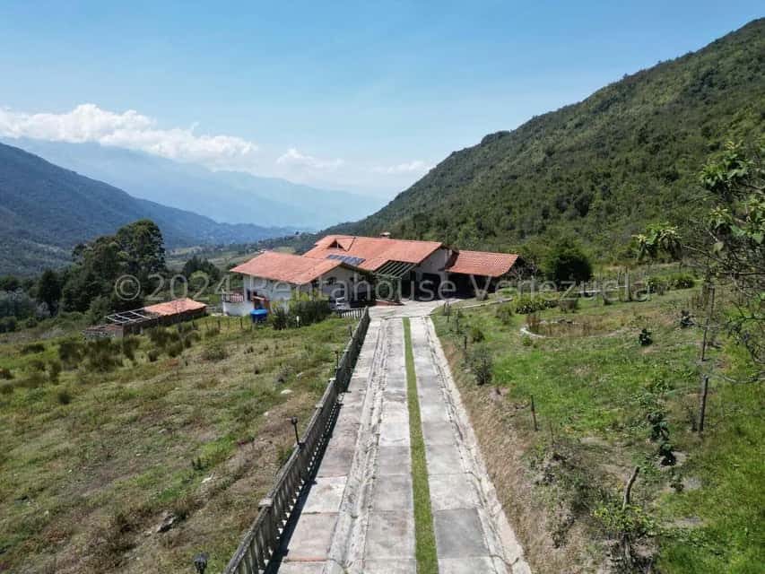 Vista 4